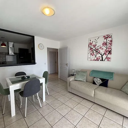 Apartmán - F2 Climatise Avec Terrasse, Proche Centre, Et Transports, Parking Inclus - Fr-1-61-624 *